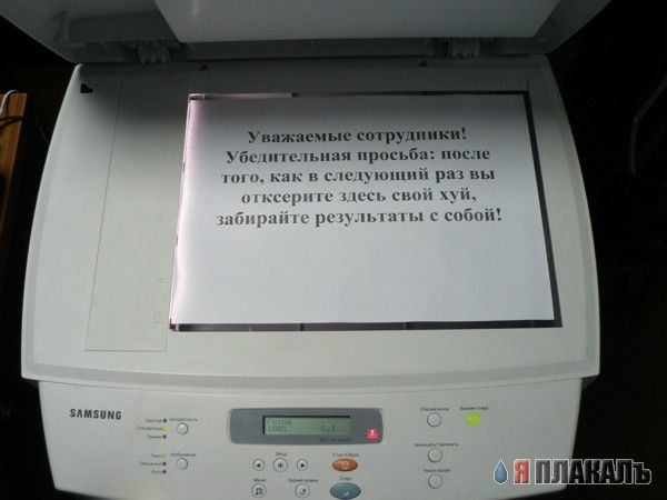 ОБЪЯВЛЕНИЯ. На стенах, в газетах, афиши.