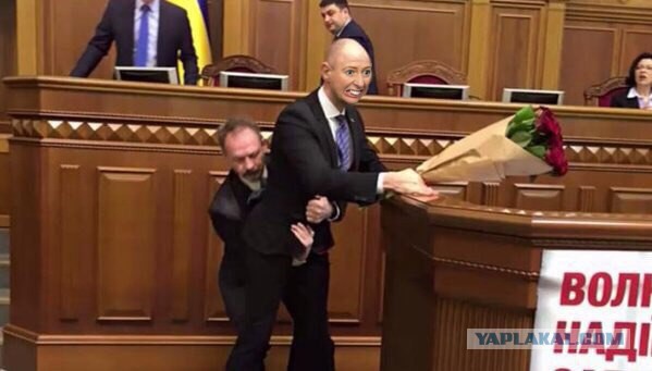 Жаба спринтера