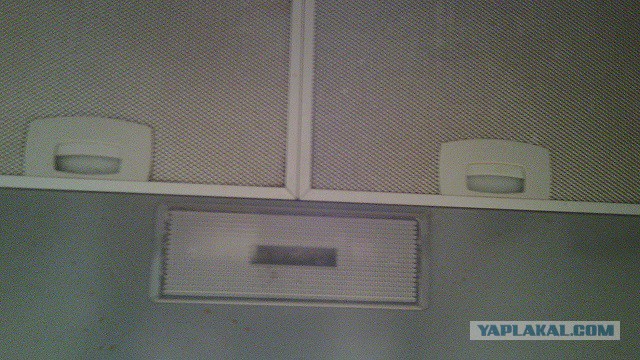 Они живые. Они смотрят на нас!