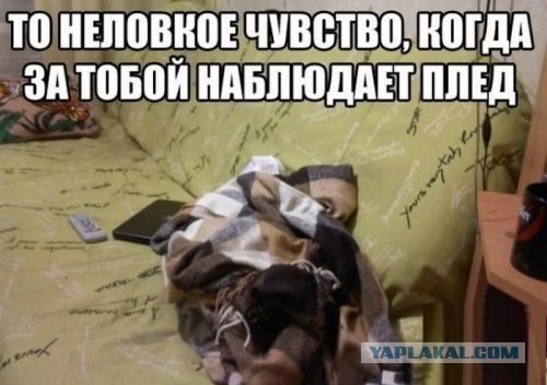 Смешные картинки с надписями