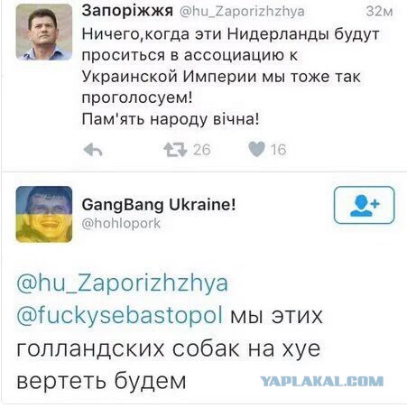 СМИ: 64% голландцев высказались против ассоциации Украины с ЕС