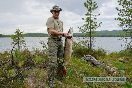 Воры на трассе по дороге с Черного моря