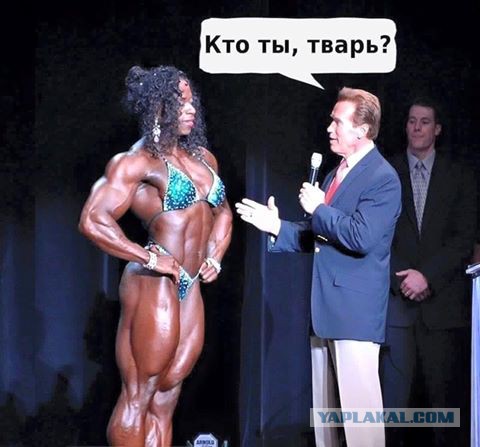 Хакеры опубликовали третью часть базы данных WADA