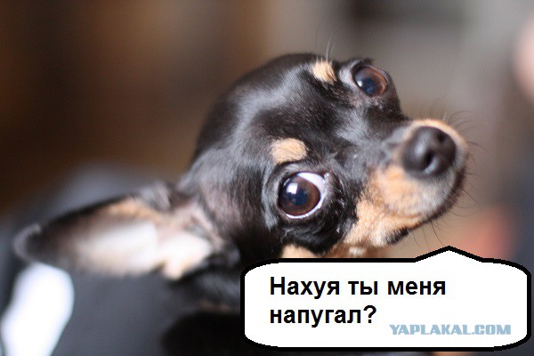 Нужна помощь юристов