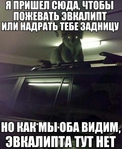 150 картинки для поднятия настроения!