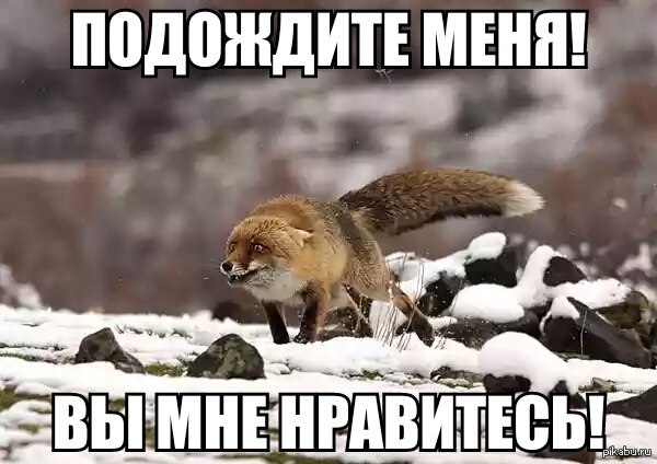 10 ненавистных типов покупателей глазами директора Пятерочки