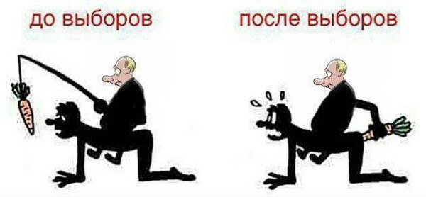 Видеотрансляция выборов 2018