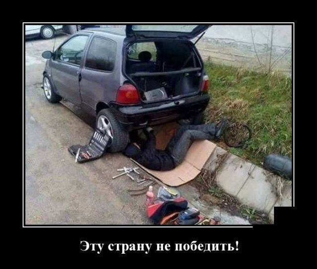 Прикольные картинки обо всем