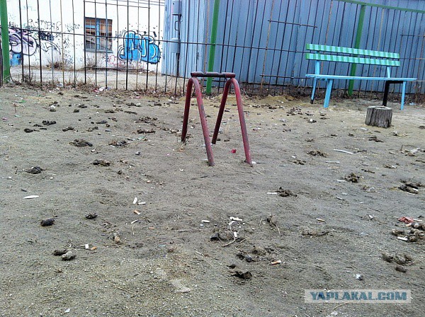 Жизнь в пластиковом аду: индийские трущобы полностью завалены мусором