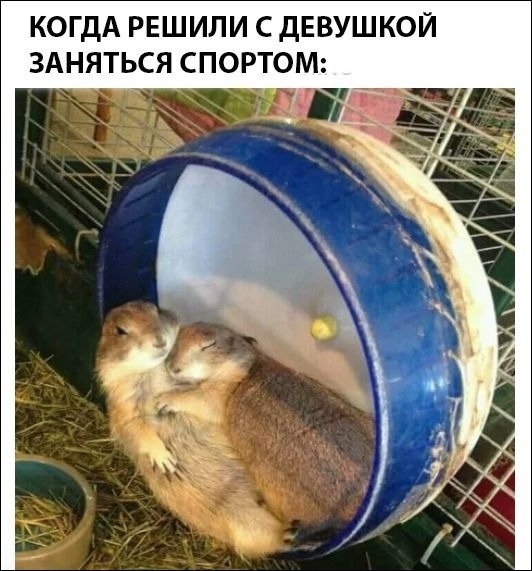 Немного веселых картинок из этих наших интернетов