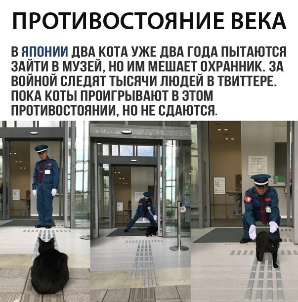 Прикольные комментарии и высказывания из Сети  14. 11. 2018.