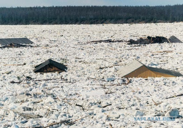 Военные взрывают ставший знаменитым затор на Бурейском водохранилище