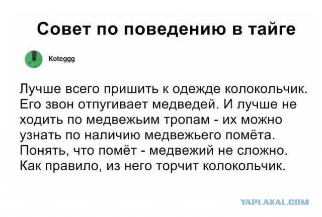 Прикольные комментарии и высказывания из Сети 07.09.19
