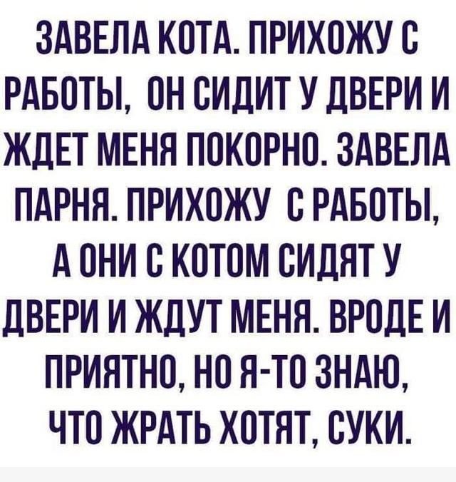 Картинки с надписями, истории и анекдоты 13.09.19