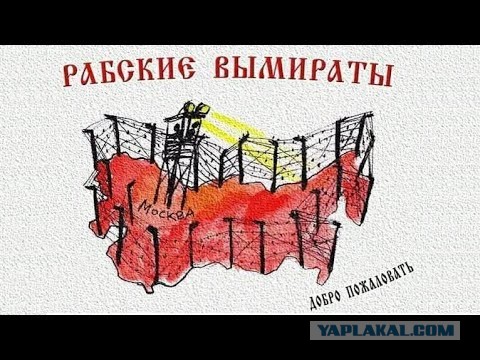 Алена Водонаева: - «Не надо рожать рабов этому государству»