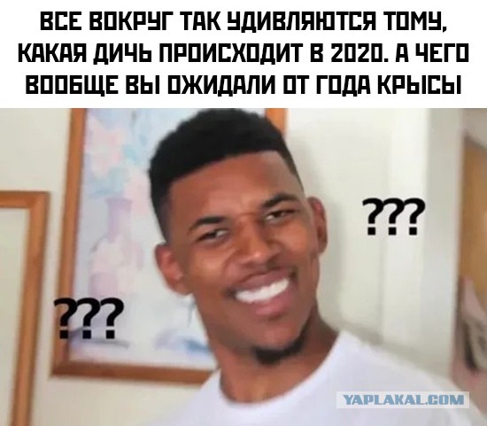 Чуток картинок 07.04.20
