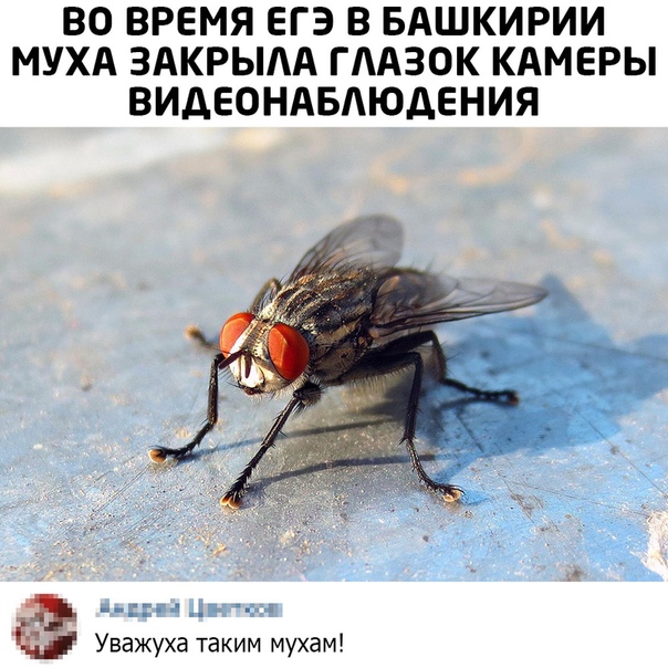 Немного картинок для настроения 30.06.20