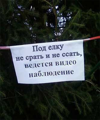 ёлки идем резать?