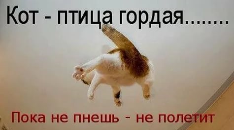 Все замужние женщины завидуют холостым парням  и это факт , а не реклама!