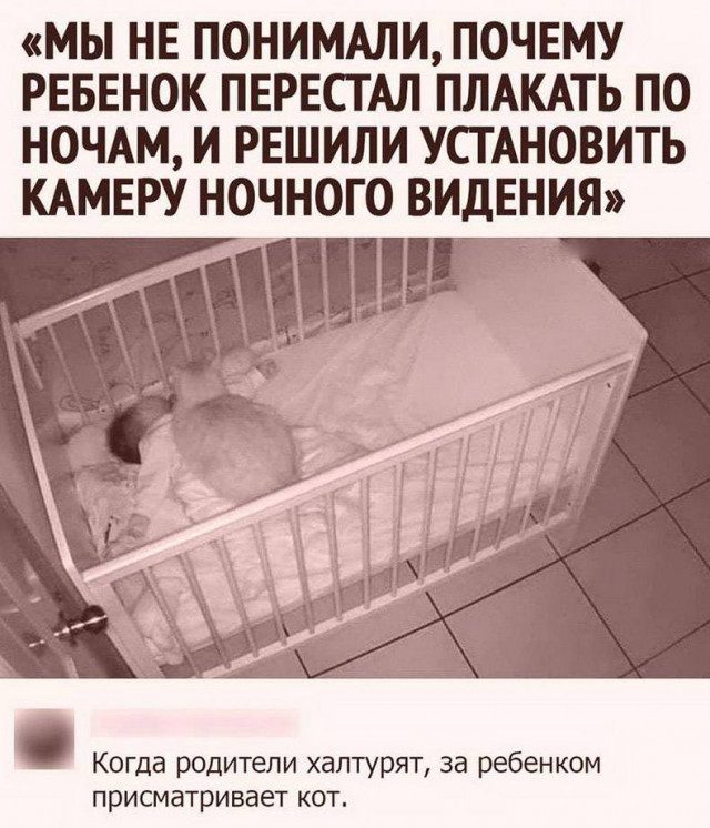 Немного картинок для настроения 02.09.20