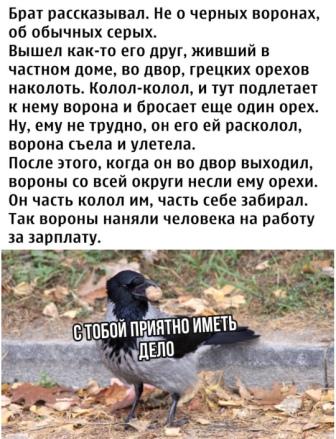 Кретинизмы из сети 20.12.20