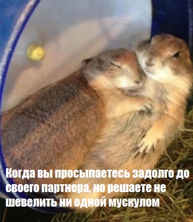 Смешные картинки