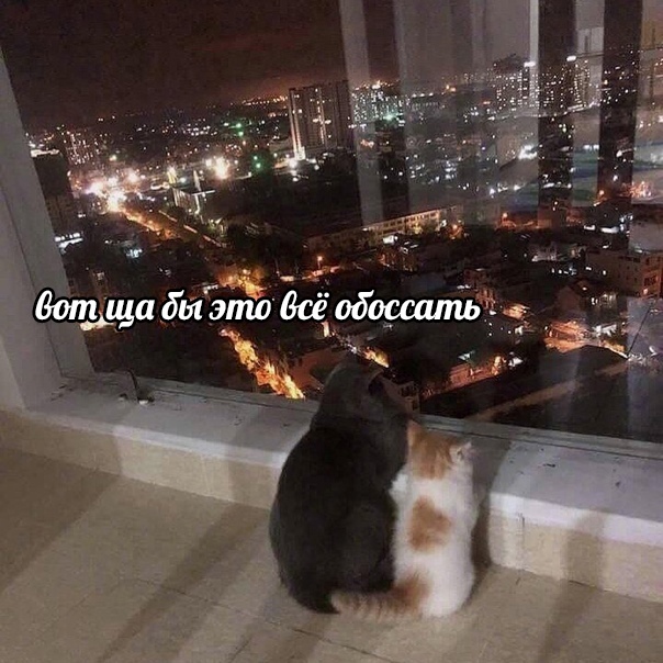 Весёлый полтишок 17.05