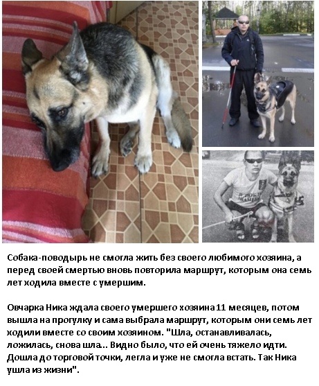 Так себе картинки 20.08.21
