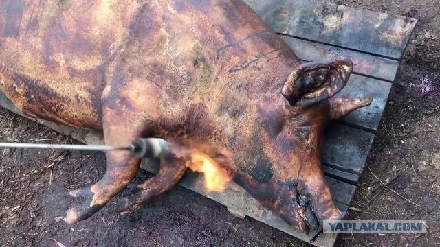 Картинки всякие и аморальные - 11