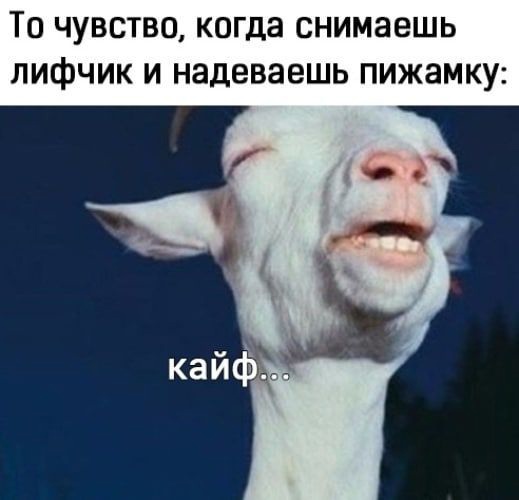 Пятница. И немного слегка пошлых картинок с надписями и без 16+ (12.11)