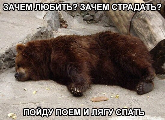 Так себе картинки 23.02.22