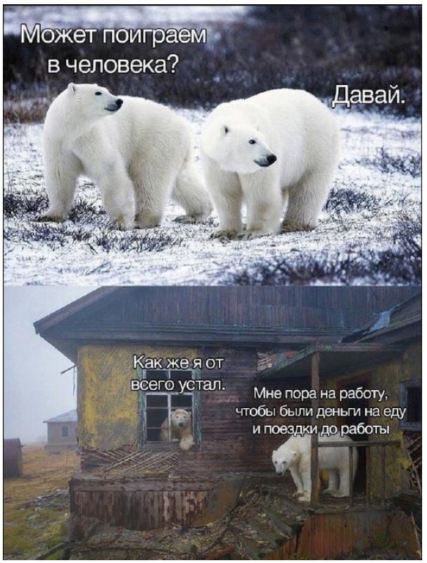 Картинки с надписями и всякие жизненные фразы