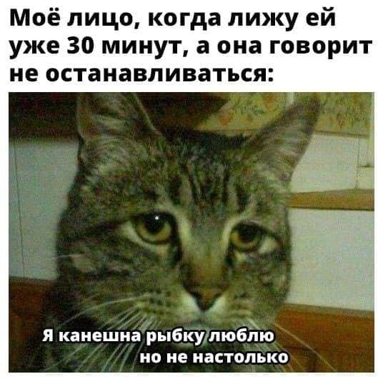 Немного пошлых картинок в ленту