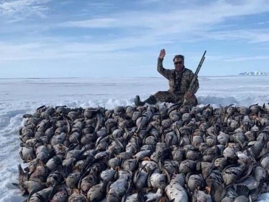 С полем!