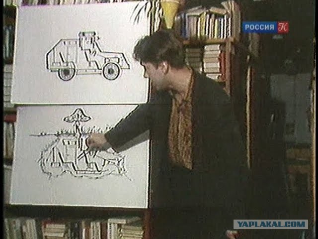 Британские ученые выяснили, что грибы способны общаться, и в их словарном запасе есть около 50 слов