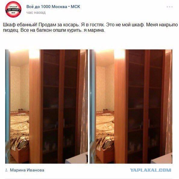 Картинки. Баян-прибоян Япа
