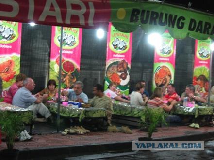 Они живут только 40 лет