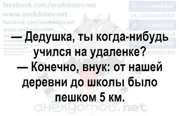 Весёлый полтишок 08.08.22