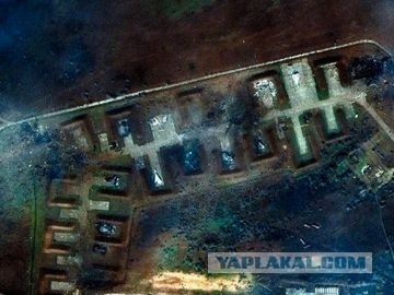 Пандемия съехавших крыш - разновидности болезни. Россия и мир. Часть 39.
