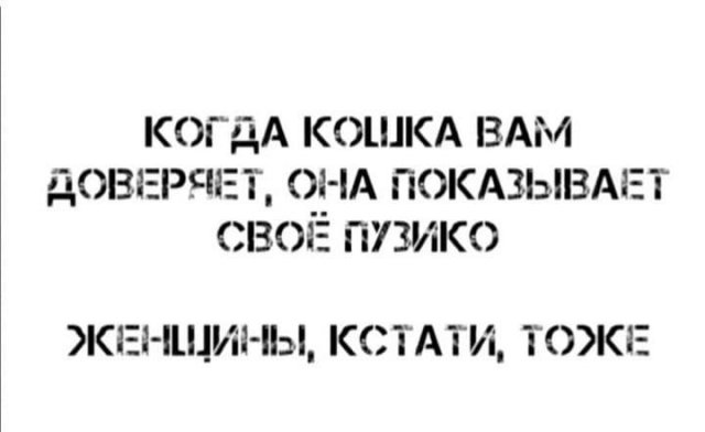 Немного картинок для настроения - 131
