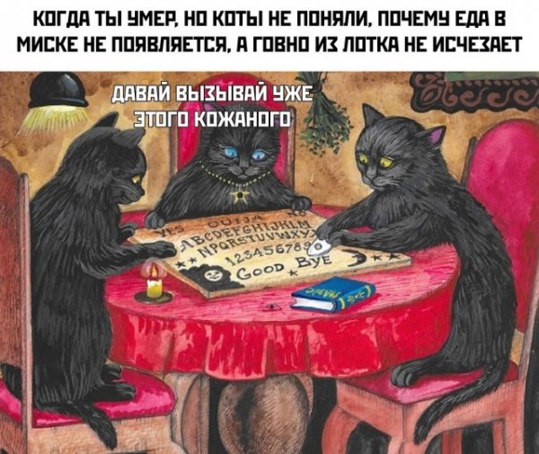 Прикольные и просто красивые картинки 05.09.2022