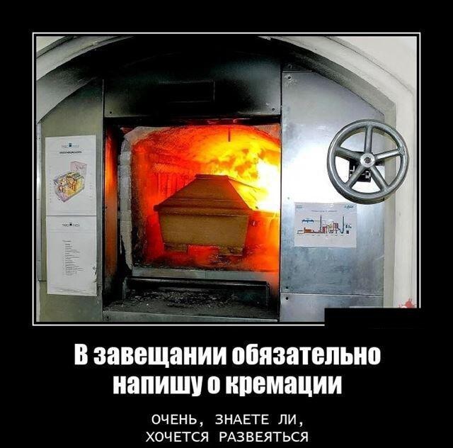 Картинок вам