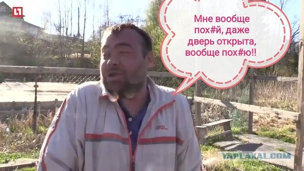Сплошной глухой забор на даче. Как он повысил мое качество жизни!