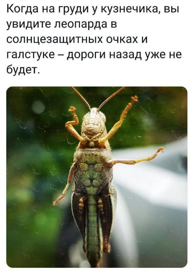Картинки и мемы, всяко разно - 175