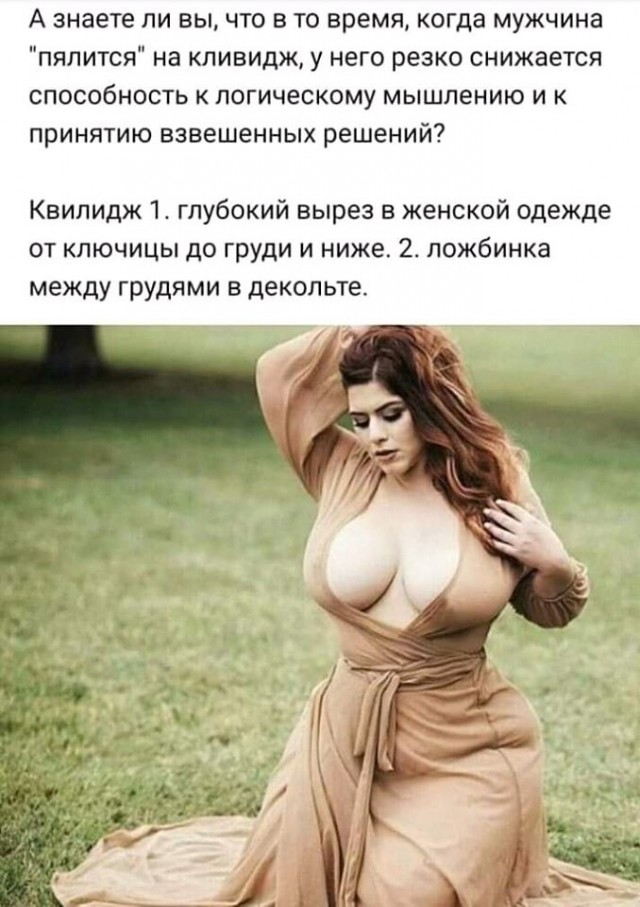 Сочные дамочки
