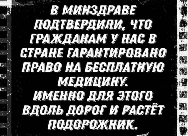 Россиянам посоветовали переходить на цикорий из-за роста цен на кофе