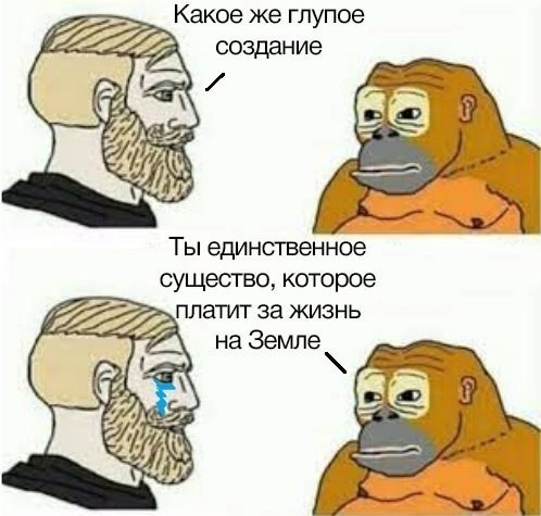 Проезд по М-12 от Москвы до Казани будет стоить 4,5 тысячи рублей