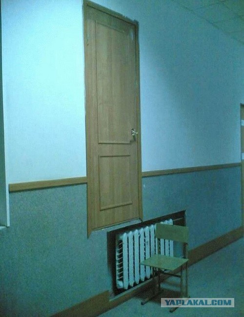 Самый крутой кот !