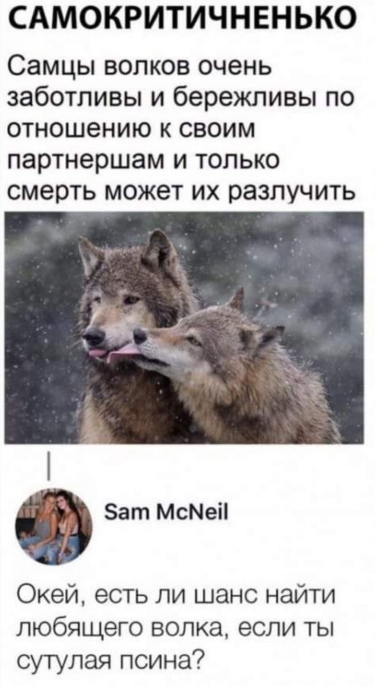 Так себе картинки 28.10.24