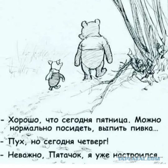 Так себе картинки 26.02.25